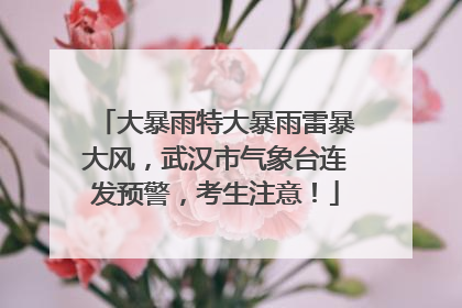 大暴雨特大暴雨雷暴大风，武汉市气象台连发预警，考生注意！