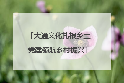 大通文化扎根乡土 党建领航乡村振兴