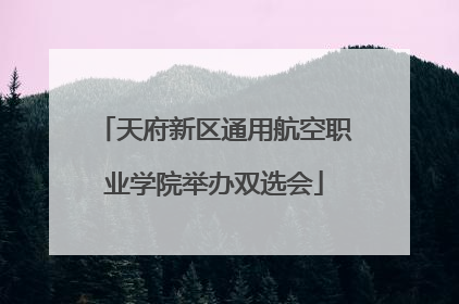 天府新区通用航空职业学院举办双选会