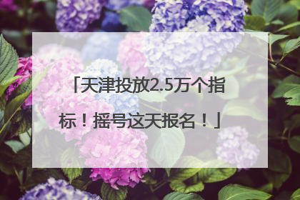 天津投放2.5万个指标！摇号这天报名！