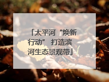 太平河“焕新行动” 打造滨河生态景观带