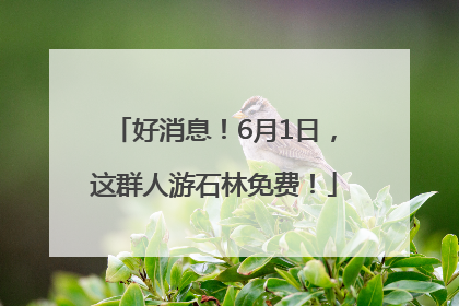 好消息！6月1日，这群人游石林免费！