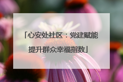 心安处社区：党建赋能 提升群众幸福指数