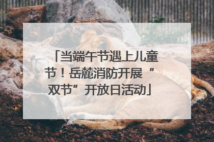 当端午节遇上儿童节！岳麓消防开展“双节”开放日活动