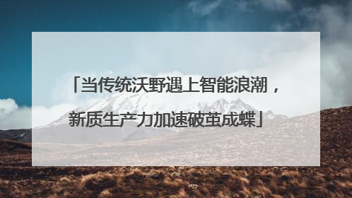 当传统沃野遇上智能浪潮，新质生产力加速破茧成蝶