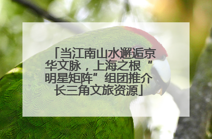 当江南山水邂逅京华文脉，上海之根“明星矩阵”组团推介长三角文旅资源