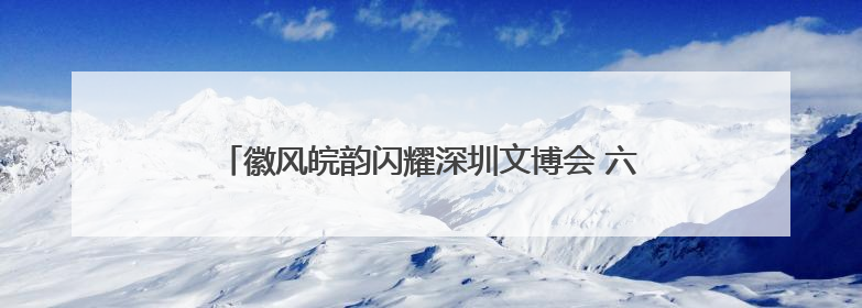 徽风皖韵闪耀深圳文博会 六尺巷领衔展示安徽文化之美