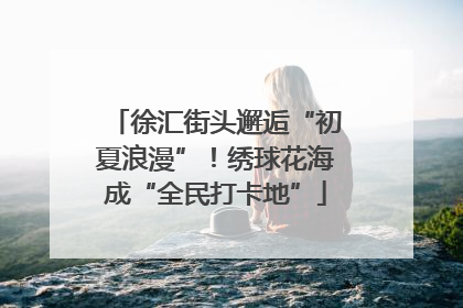 徐汇街头邂逅“初夏浪漫”！绣球花海成“全民打卡地”