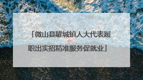 微山县驩城镇人大代表履职出实招精准服务促就业