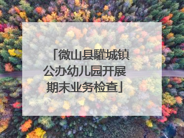 微山县驩城镇公办幼儿园开展期末业务检查