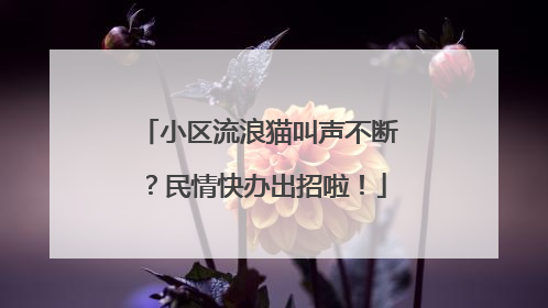 小区流浪猫叫声不断？民情快办出招啦！
