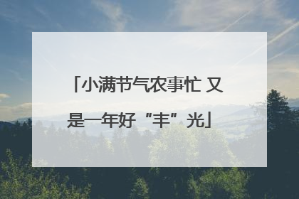 小满节气农事忙 又是一年好“丰”光