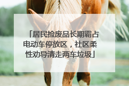 居民捡废品长期霸占电动车停放区，社区柔性劝导清走两车垃圾