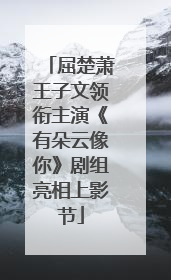 屈楚萧王子文领衔主演《有朵云像你》剧组亮相上影节