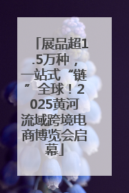 展品超1.5万种，一站式“链”全球！2025黄河流域跨境电商博览会启幕