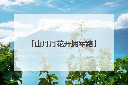 山丹丹花开拥军路