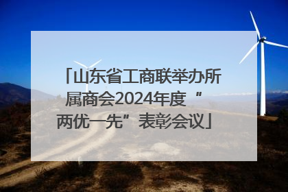 山东省工商联举办所属商会2024年度“两优一先”表彰会议