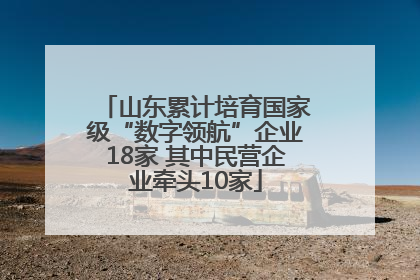 山东累计培育国家级“数字领航”企业18家 其中民营企业牵头10家