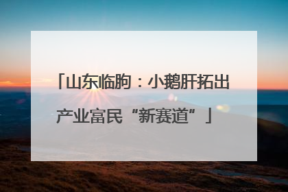 山东临朐：小鹅肝拓出产业富民“新赛道”