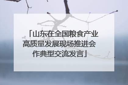 山东在全国粮食产业高质量发展现场推进会作典型交流发言