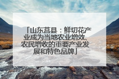 山东莒县：鲜切花产业成为当地农业增效、农民增收的重要产业发展和特色品牌