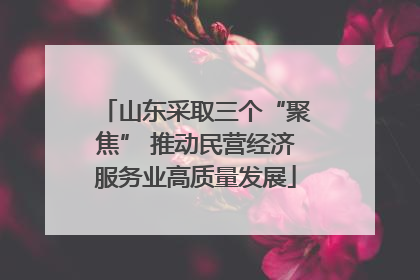 山东采取三个“聚焦” 推动民营经济服务业高质量发展