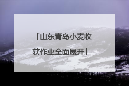 山东青岛小麦收获作业全面展开