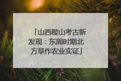 山西稷山考古新发现：东周时期北方旱作农业实证