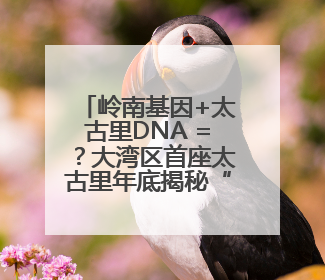 岭南基因+太古里DNA =？大湾区首座太古里年底揭秘“首秀”