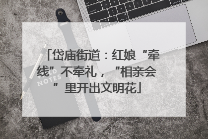 岱庙街道：红娘“牵线”不牵礼，“相亲会”里开出文明花