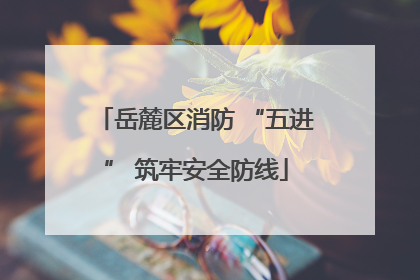 岳麓区消防 “五进” 筑牢安全防线