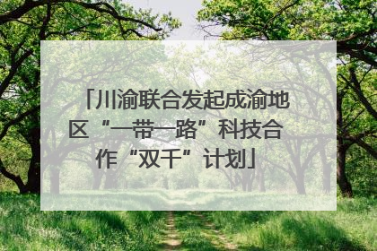 川渝联合发起成渝地区“一带一路”科技合作“双千”计划