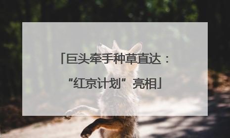 巨头牵手种草直达：“红京计划”亮相