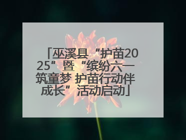 巫溪县“护苗2025”暨“缤纷六一筑童梦 护苗行动伴成长”活动启动