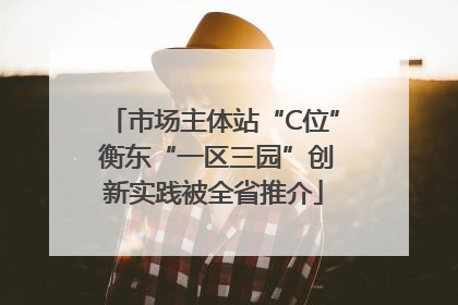 市场主体站“C位” 衡东“一区三园”创新实践被全省推介