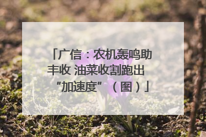 广信：农机轰鸣助丰收 油菜收割跑出“加速度”（图）