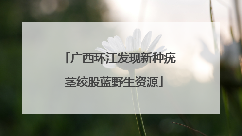 广西环江发现新种疣茎绞股蓝野生资源