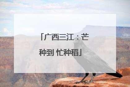 广西三江：芒种到 忙种稻