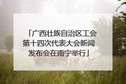 广西壮族自治区工会第十四次代表大会新闻发布会在南宁举行