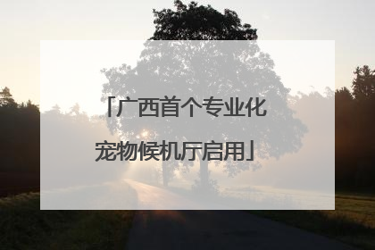 广西首个专业化宠物候机厅启用