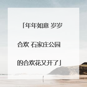 年年如意 岁岁合欢 石家庄公园的合欢花又开了