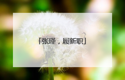 张瑾，履新职