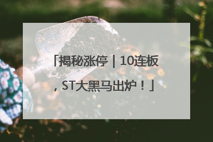 揭秘涨停｜10连板，ST大黑马出炉！