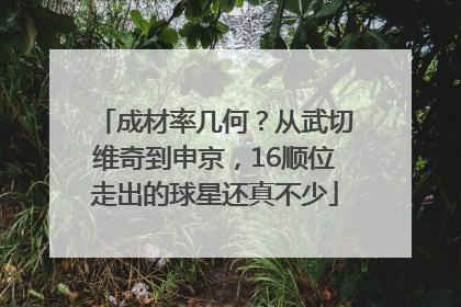 成材率几何？从武切维奇到申京，16顺位走出的球星还真不少