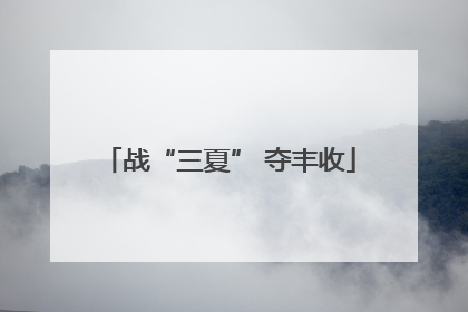 战“三夏” 夺丰收