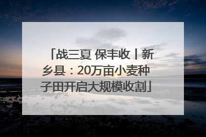 战三夏 保丰收丨新乡县：20万亩小麦种子田开启大规模收割