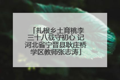 扎根乡土育桃李 三十八载守初心 记河北省宁晋县耿庄桥学区教师张志涛