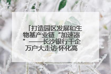打造园区发展和生物基产业链“加速器”——长沙银行千企万户大走访·怀化高新区、生物基产业链专场活动举行