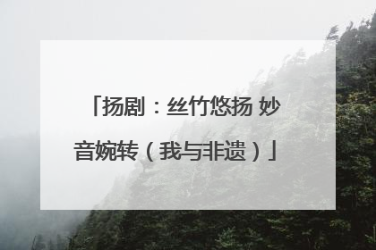 扬剧：丝竹悠扬 妙音婉转（我与非遗）