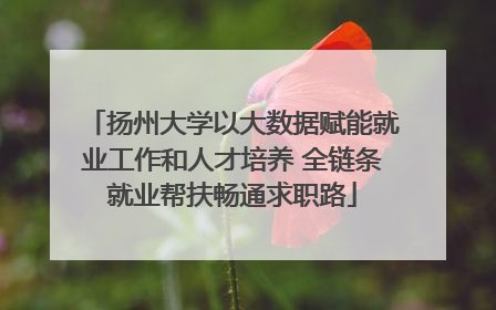 扬州大学以大数据赋能就业工作和人才培养 全链条就业帮扶畅通求职路
